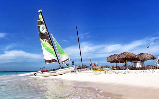 为您创造效益的ddos测压网站